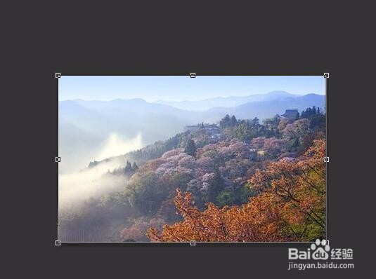 如何用photoshop把一张图片旋转任意角度