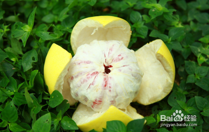 柚子的食用功效有哪些