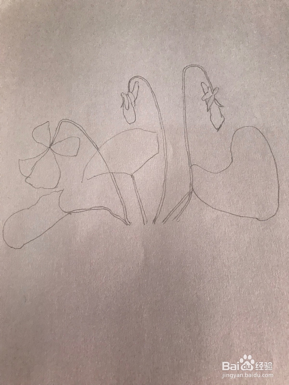 画一棵简易紫罗兰