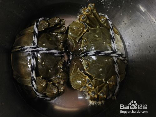 自己做清蒸大闸蟹海鲜美食