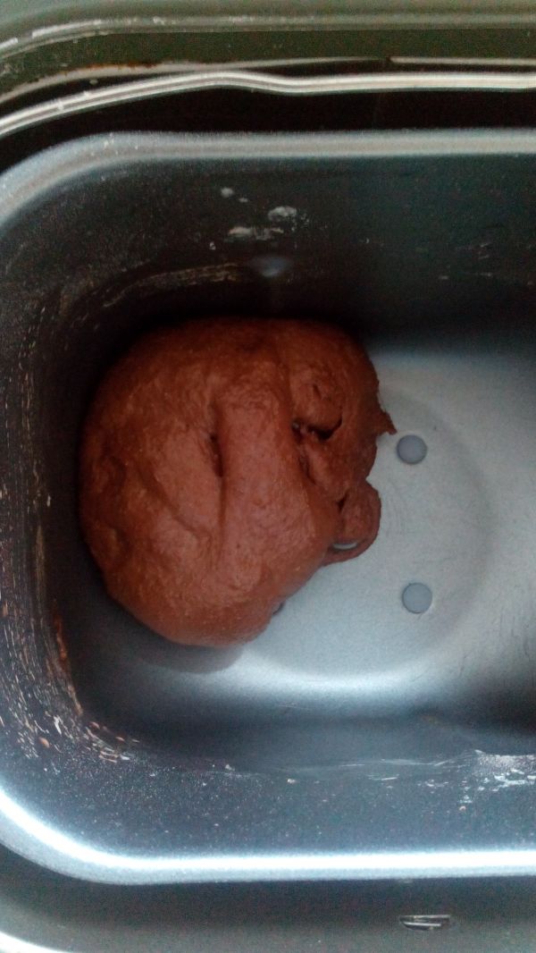全麦可可双色土司
