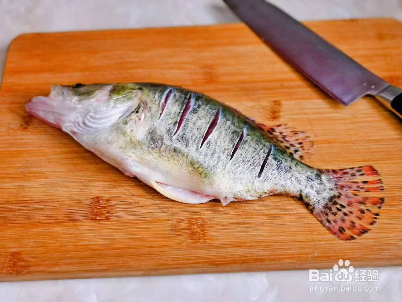 培根蒸桂鱼的做法