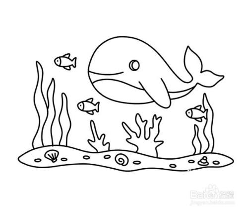 海底世界简笔画 百度经验