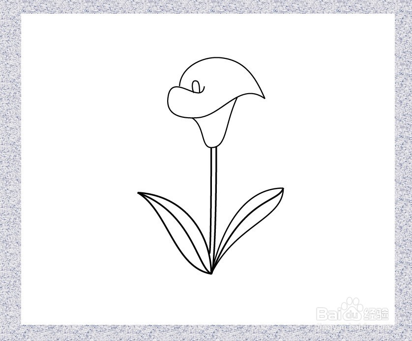 马蹄莲的简笔画怎么画