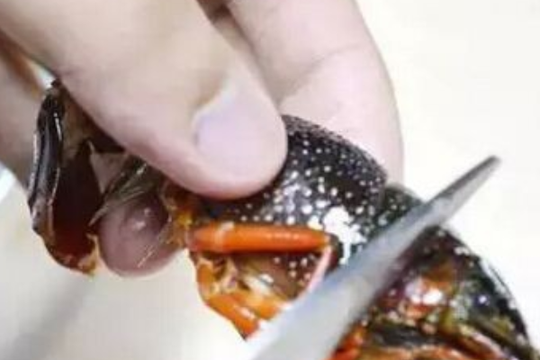 清蒸小龙虾的做法是怎样的