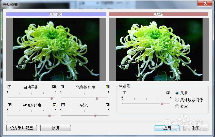 PS滤镜自动修缮调整图像的效果