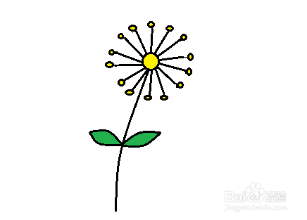 简笔画-如何画菊花的简笔画
