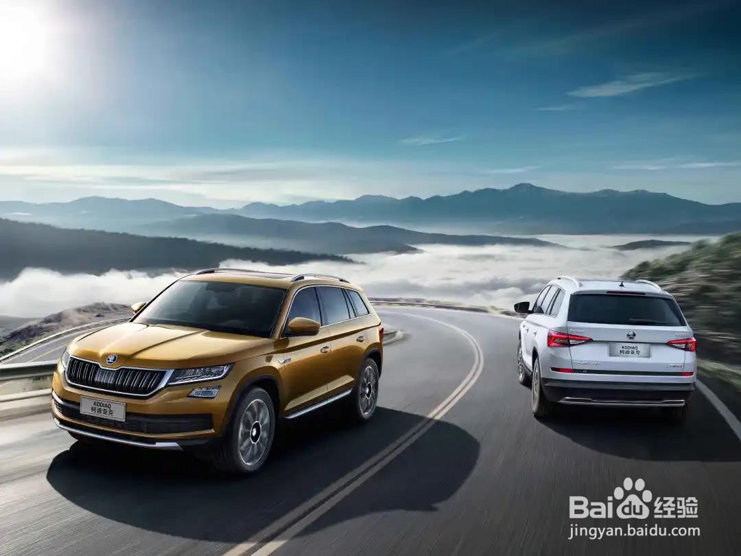 懂大众的人都买斯柯达？这个品牌全系降价