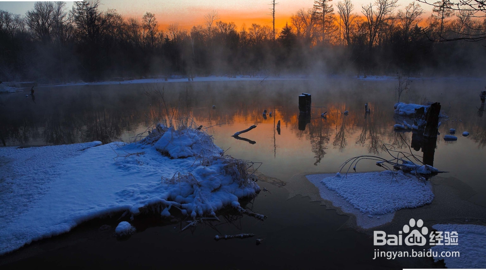 新手应该怎样学习摄影?