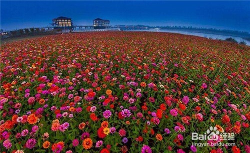 怎样度过38妇女节呢?