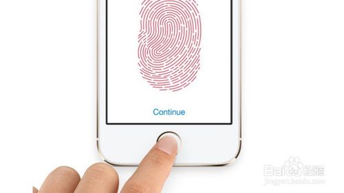 iphone7怎么设置指纹识别？
