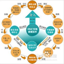 数字化神经元调控修复体系