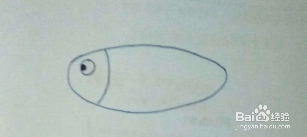 如何画一条鱼?