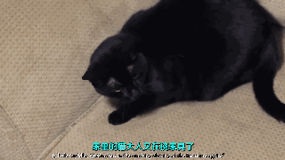 白醋的几个妙用