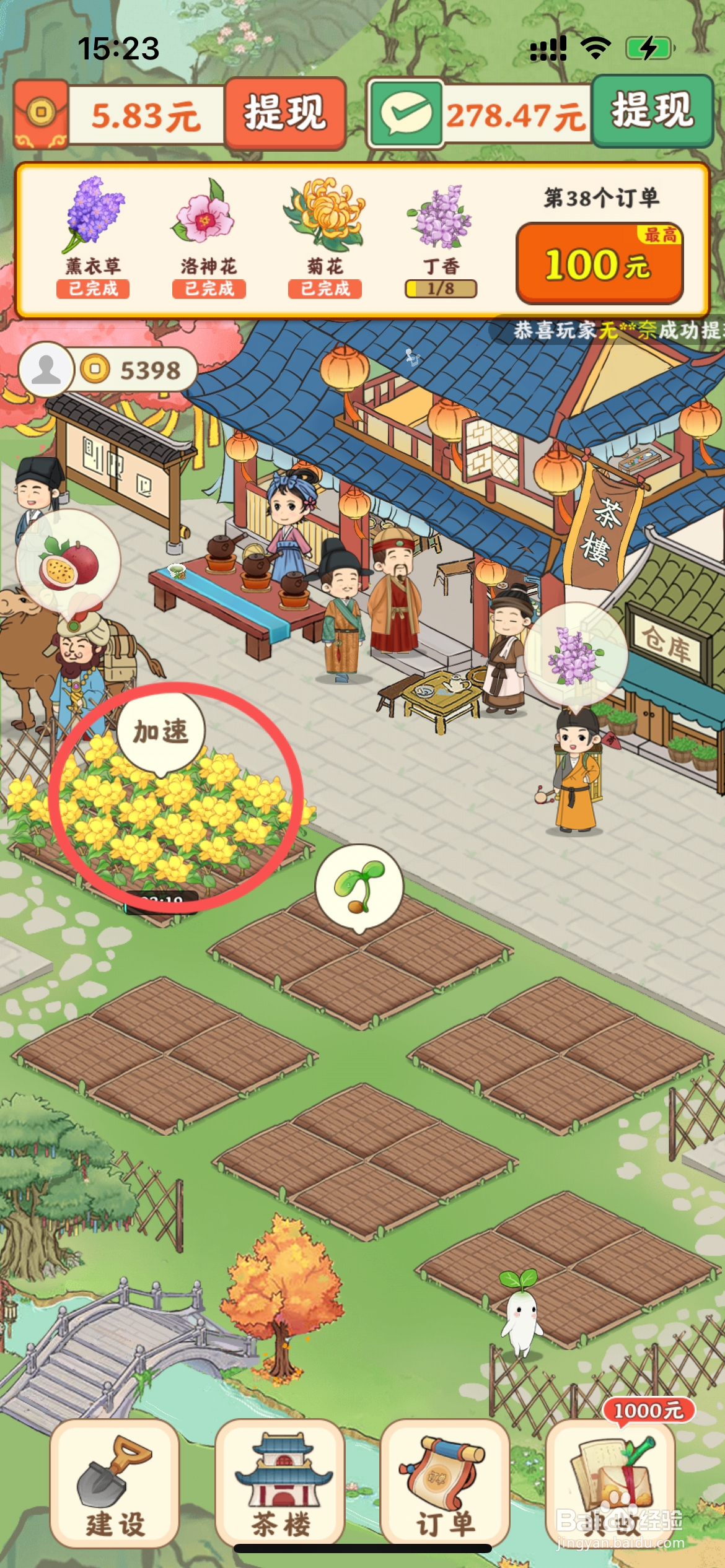 我的茶园中如何给农场种植栀子花