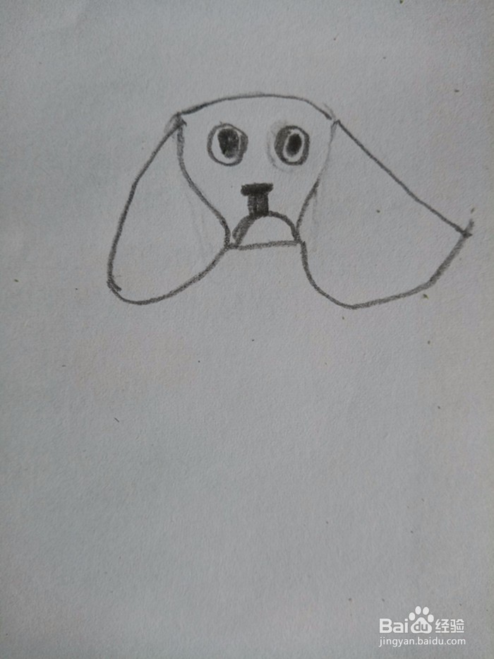 狗狗的简笔画