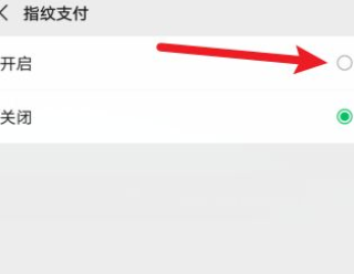 怎么把微信支付密码改成指纹