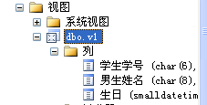 SQL Server数据库数据查询及视图四