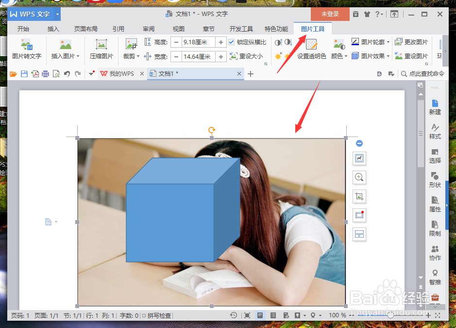 WPS文字中的绘图工具和图片工具在哪里
