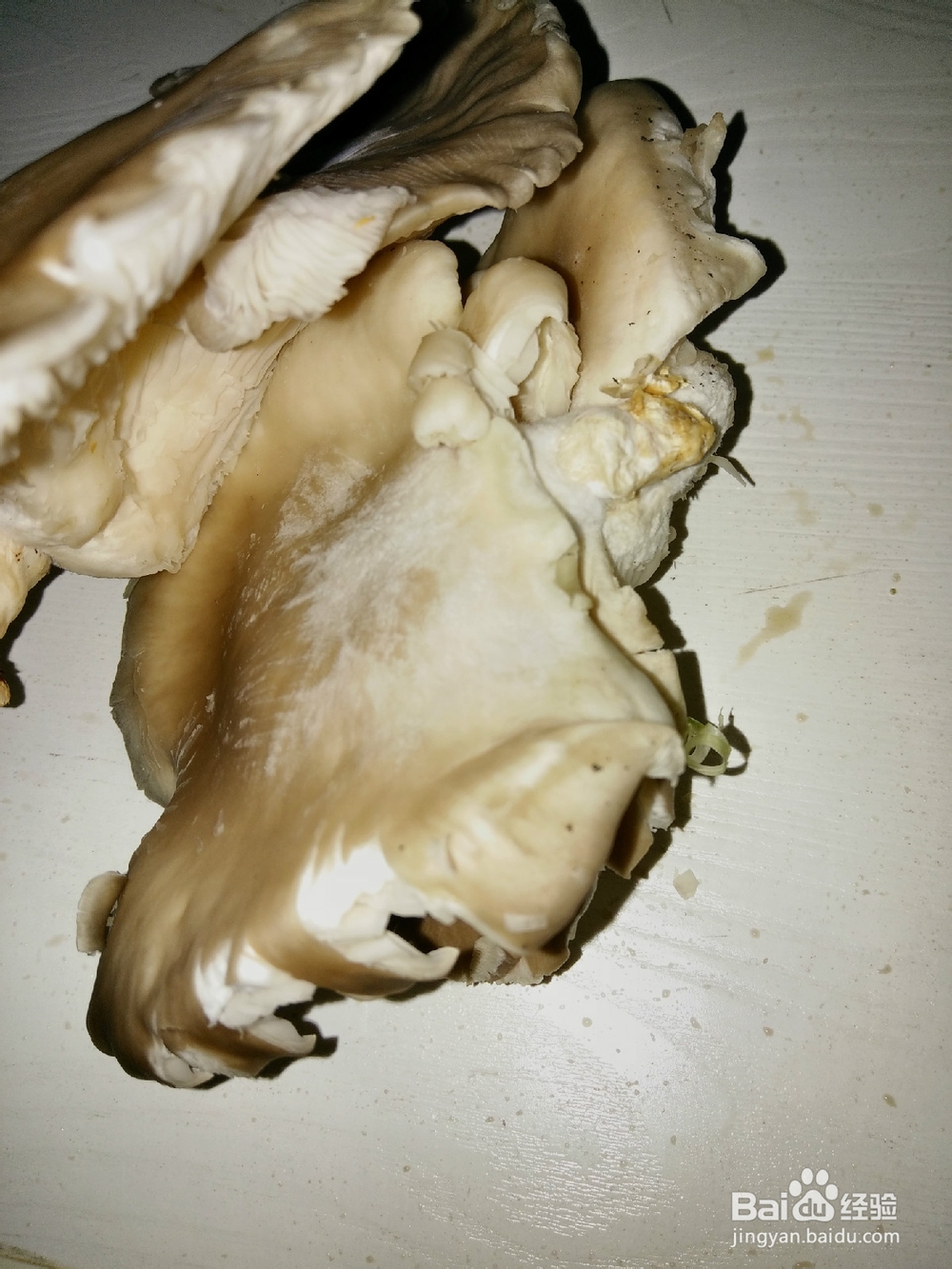 蘑菇肉片汤的做法