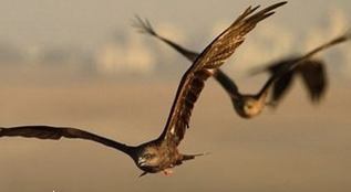 如何开好一家园艺店（实体店）?