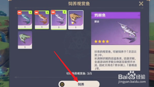 原神2.1怎么养观赏鱼