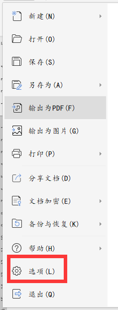 wps19版word中文档无错误如何打开拼写检查
