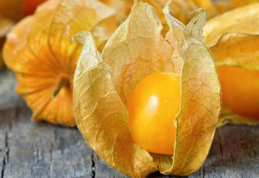 秋天成熟的蔬菜、水果有哪些