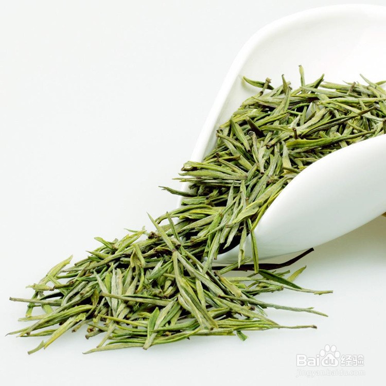 安吉白茶怎么存放最好