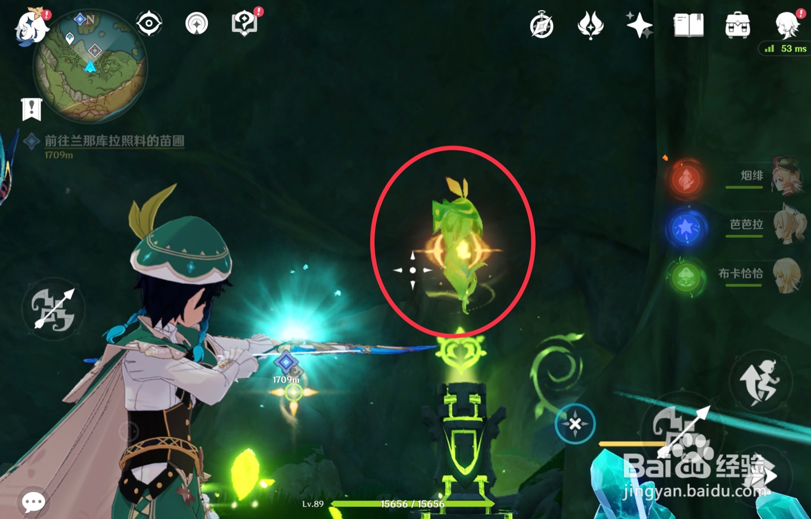 原神健壮的草种子有什么作用