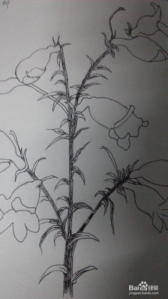 简单绘画之(4)钓钟柳