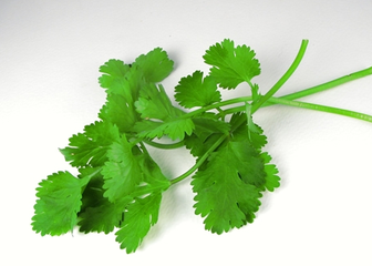 如何煮一碗家常面?