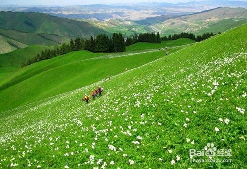 新疆旅游：[1]春天去哪儿