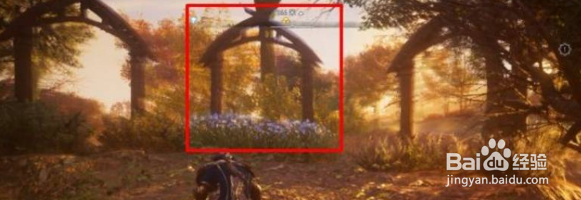 刺客信条：英灵殿如何完成神秘事件-毒蝇伞?