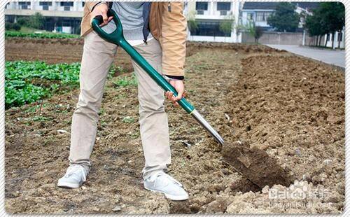 特地形状的泥土块的话(比如方形等)可以在四面一起往下踩,再慢慢铲出
