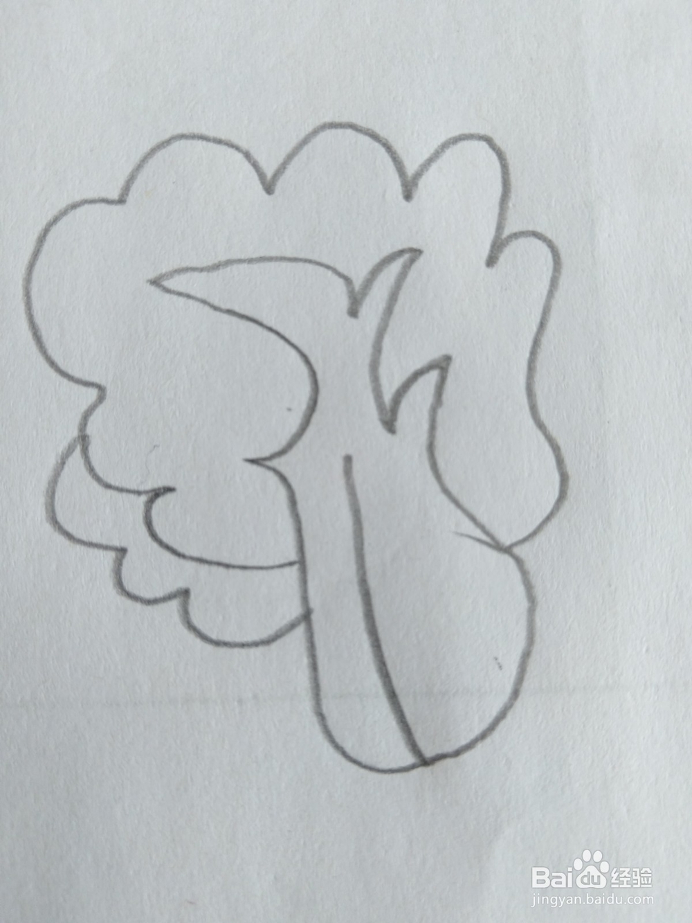 儿童简笔画白菜画法十