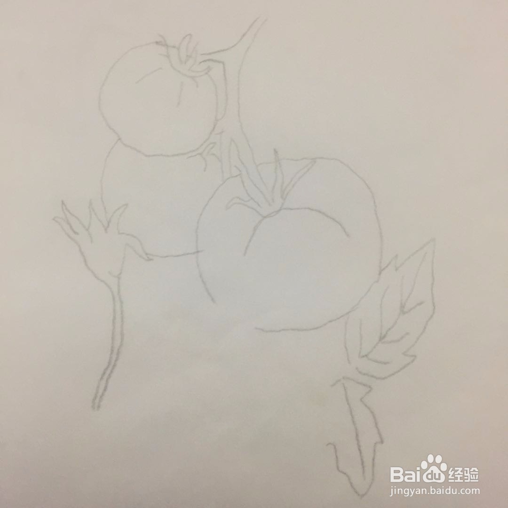 如何画西红柿