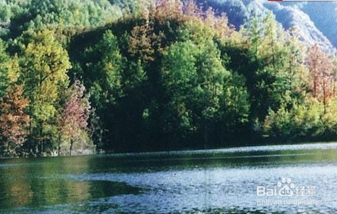 2012江油十一旅游攻略