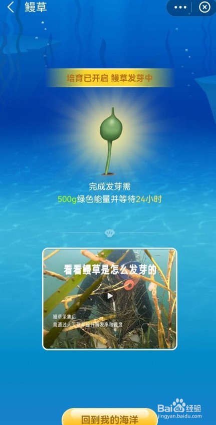 拟枣贝怎么获得