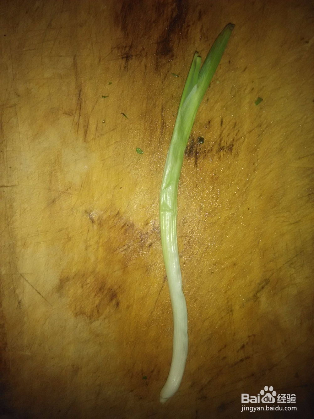长豆角炒婆婆丁