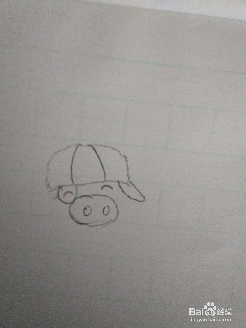 麦兜的简单画法