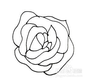 玫瑰花的简笔画
