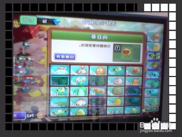 植物大战僵尸2功夫世界第十关的玩法