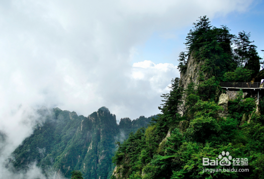 办农业合作社证件有哪些？