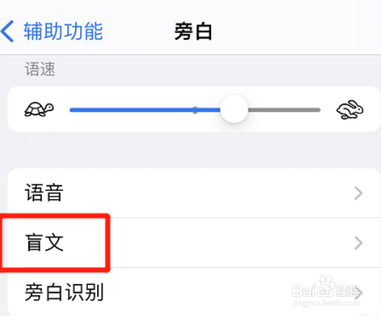 苹果旁白怎么输出八点式盲文