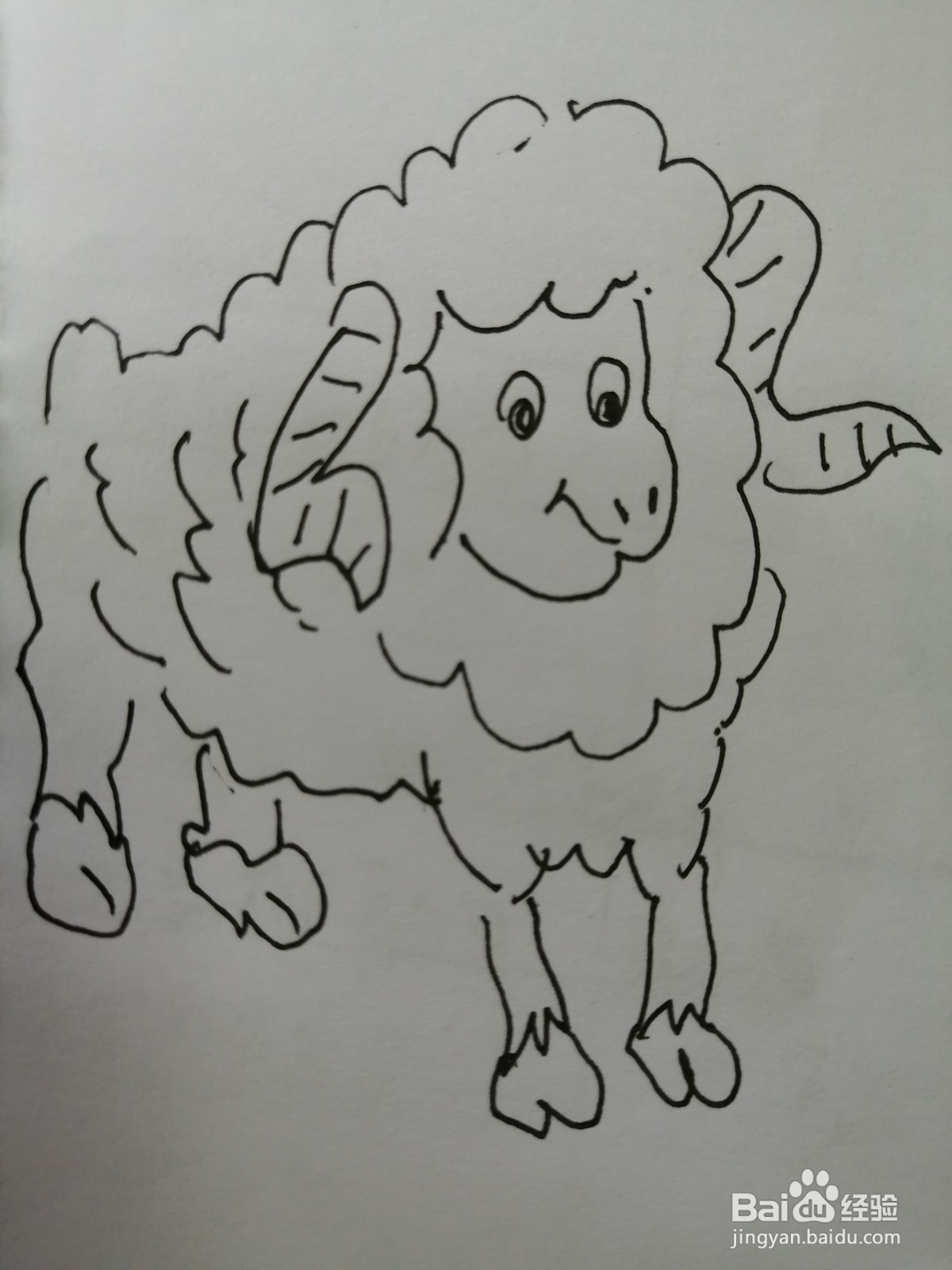<b>可爱的小山羊怎么画</b>