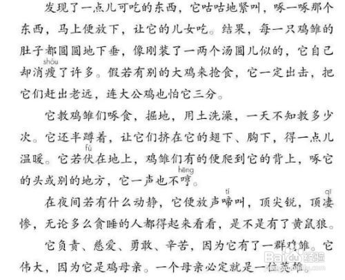 老舍的母鸡用了什么写作方法