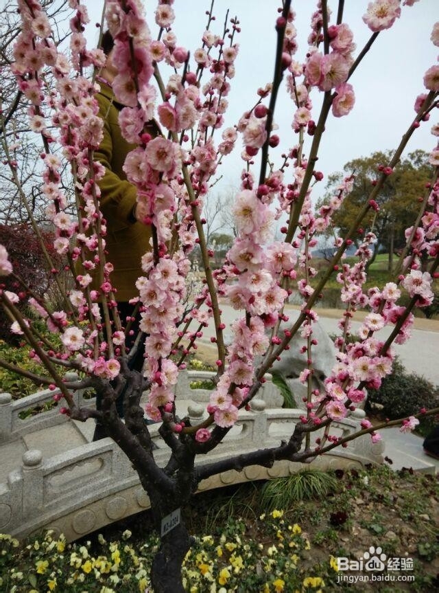 衣物清洗小妙招,很实用哦。