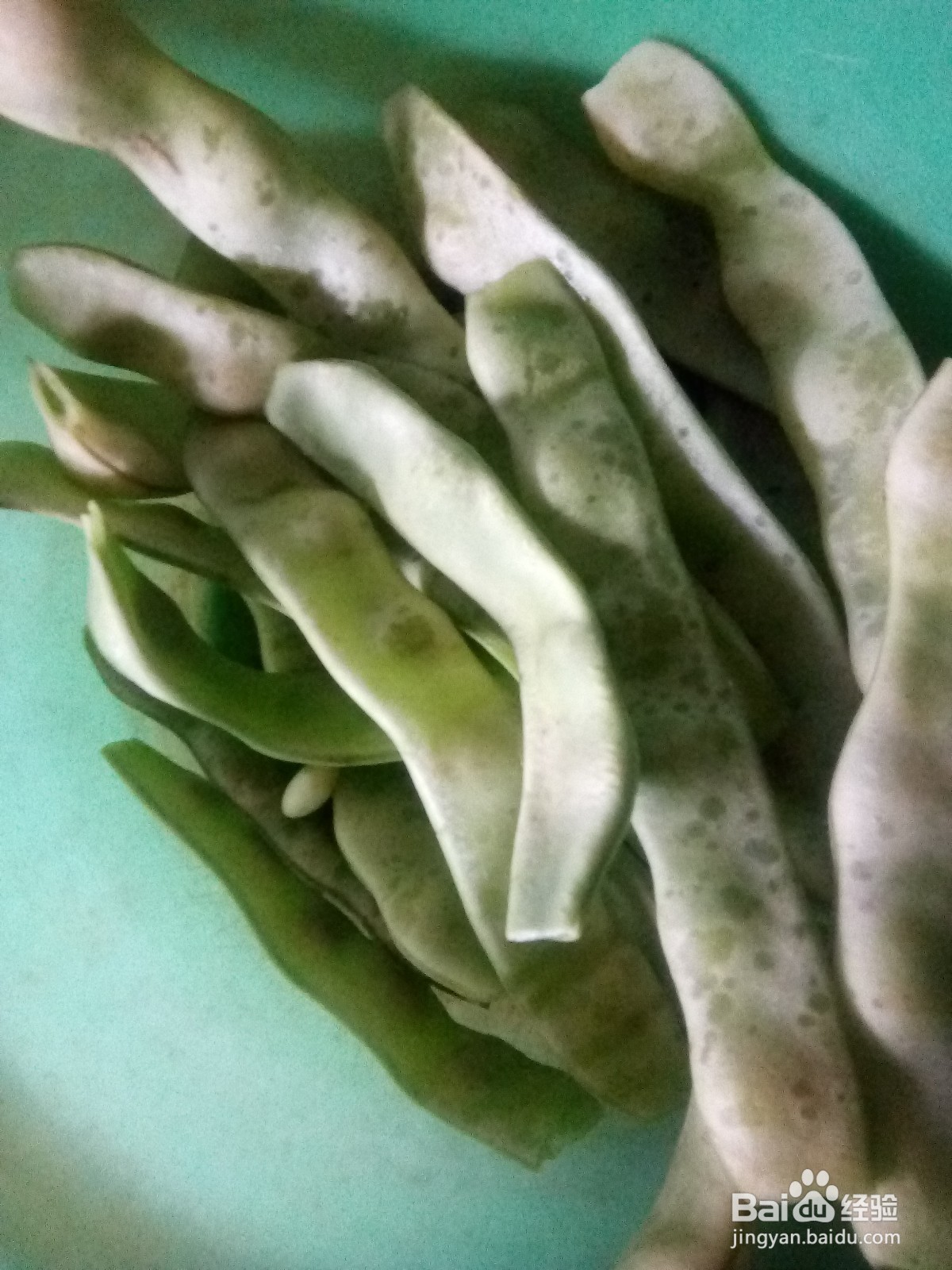 家常土豆炖豆角