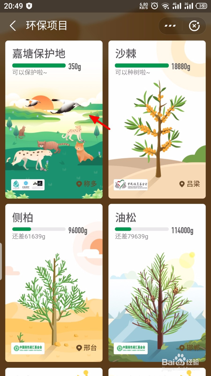 蚂蚁森林怎么认领保护地